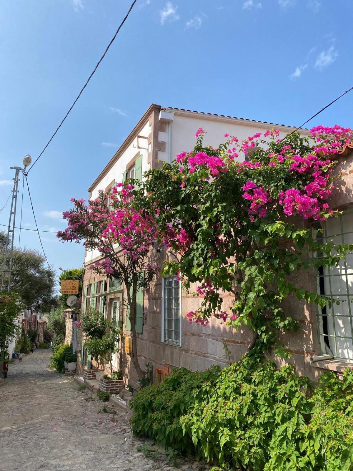 Cunda Ilios Hotel Ayvalik Exterior photo